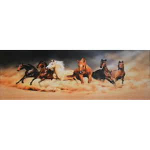 Obraz na plátně - Stádo koní, 50x150 cm