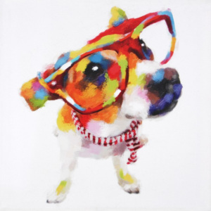 Falc Obraz na plátně - Jolly Dog 1, 50x50 cm