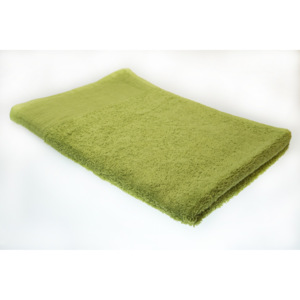 FARO Froté ručník AQUA , 30x50 cm, zelený (jablko)