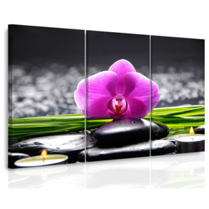 Vícedílný obraz - Orchidej při svíčkách (90x60 cm) - InSmile ®