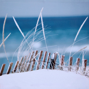 Falc Obraz na plátně - Pláž, 70x70 cm