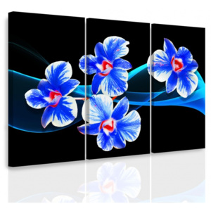 Vícedílný obraz - Orchidej na vlnách (90x60 cm) - InSmile ®