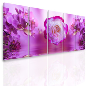 Vícedílný obraz - Květiny na hladině vody (150x60 cm) - InSmile ®