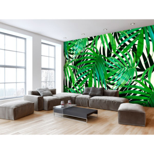 Tropické listy (200x140 cm) - Murando DeLuxe
