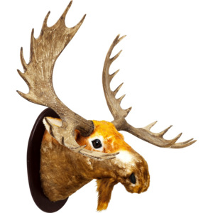 Dekorativní paroží Elk Fur
