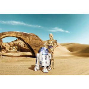 Fototapeta Komar Star Wars 8-484 Lost Droids (368 x 254 cm)