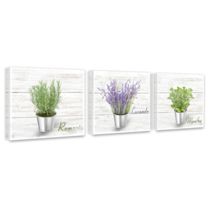 Styler Obraz na plátně - Variety of herbs 3x 27x27 cm