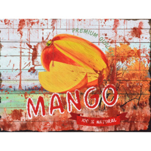 Falc Obraz na plátně - Mango, 30x40 cm