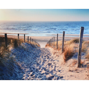 Obraz na plátně - Pískové pobřeží, 40x50 cm