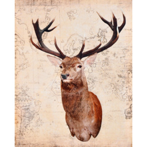 Falc Obraz na plátně - Deer 1, 40x50 cm