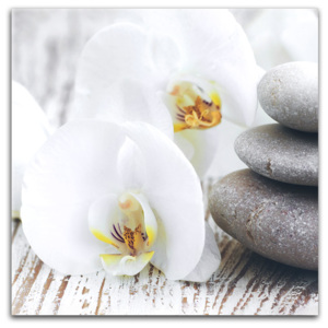 Obraz na plátně - White orchid 30x30 cm