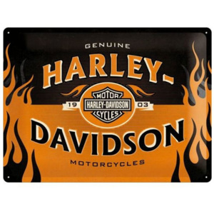 Plechová cedule moto Harley Flames