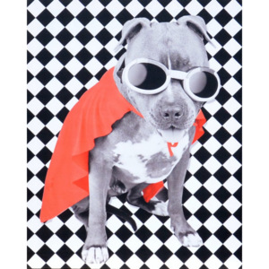 Falc Obraz na plátně - Cool Dog I., 40x50 cm
