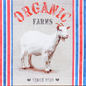 Obraz na plátně - Organická Farma, 40x40 cm