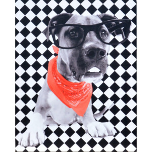 Obraz na plátně - Cool Dog II., 40x50 cm