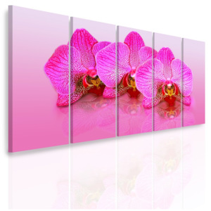 Vícedílný obraz - Růžové orchideje (150x70 cm) - InSmile ®