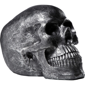 Dekorativní busta Skull Silver Antique