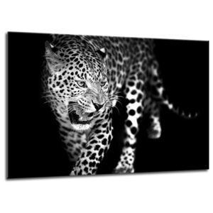 Obraz na skle Styler - Leopard 100x70 cm
