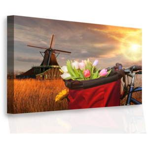 Obraz na zeď - tulipány v koši (90x60 cm) - InSmile ®