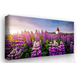Obraz - fialové snění (90x60 cm) - InSmile ®