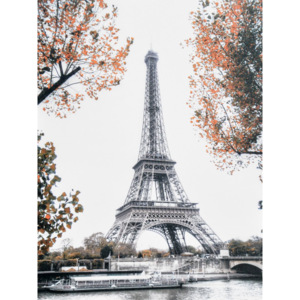 Falc Obraz na plátně - Eiffelova věž na podzim, 75x100 cm
