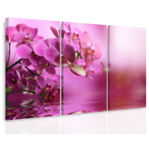 Vícedílný obraz - Orchidej na hladině (90x60 cm) - InSmile ®