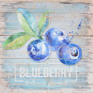 Obraz na plátně - Blueberry, 28x28 cm