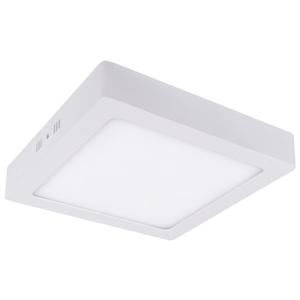 Stropní LED svítidlo Ozcan 251-18K white