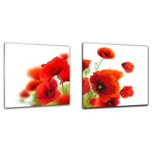 Obraz na skle Styler - Poppy Poppy sada - 2x 30x30 cm