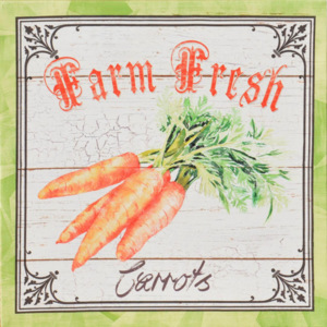 Obraz na plátně - Carrot farm, 28x28 cm