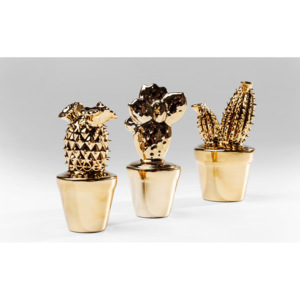 Dekorativní kaktus Gold Glossy Small - více variant