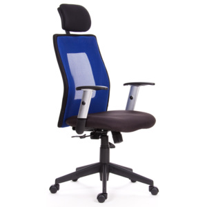 Kancelářská židle ORION XL Peška Barva: modrá