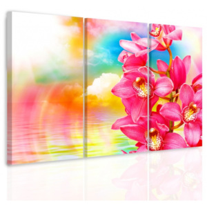 Vícedílný obraz - Orchidej (90x60 cm) - InSmile ®