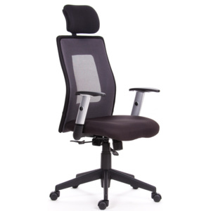 Kancelářská židle ORION XL Peška Barva: šedá