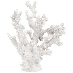 CORAL BEACH Dekorační korál 20 cm