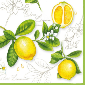 Ubrousky Citrus Limonum