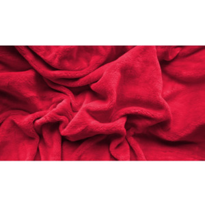 JAHU collections PROSTĚRADLO MIKROPLYŠ Elite 90x200cm - červené