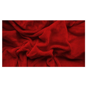 XPOSE ® PROSTĚRADLO MIKROPLYŠ Exclusive 200x220cm - tmavě červené