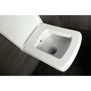 Aqualine SOLUZIONE WC závěsné 35x50,5cm s bidetovou sprškou, bílá