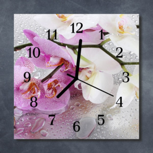 Nástěnné hodiny obrazové na skle - Orchidej růžová a bílá