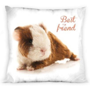 Povlak na dekorační polštářek Best Friends Rabbit and Cavy barevna