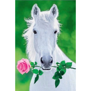 Plakát - White Horse
