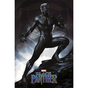 Plakát - Black Panther (Stance)