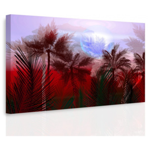 Obraz - Tajemná jungle II. (90x60 cm) - InSmile ®