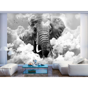 Tapeta slon v oblacích - černobílý (150x105 cm) - Murando DeLuxe
