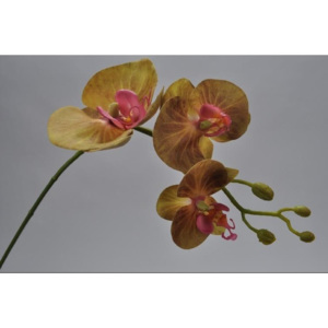 Silk-ka Orchidej větvička zelená 62 cm