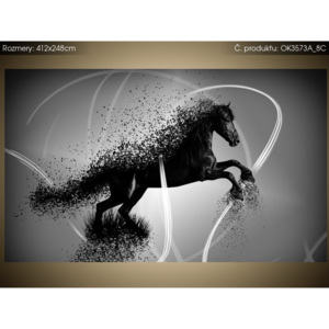 Samolepící fólie Černobílý kůň - Jakub Banas 412x248cm OK3573A_8C