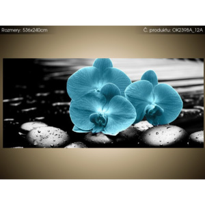 Samolepící fólie Tyrkysová orchidej a kameny 536x240cm OK2398A_12A