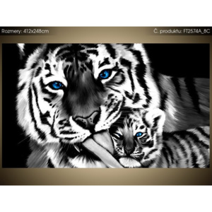 Fototapeta Černobílý tygr a tygřík 412x248cm FT2574A_8C