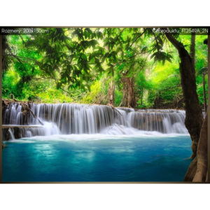 Fototapeta Čirý vodopád v džungli 200x150cm FT2549A_2N